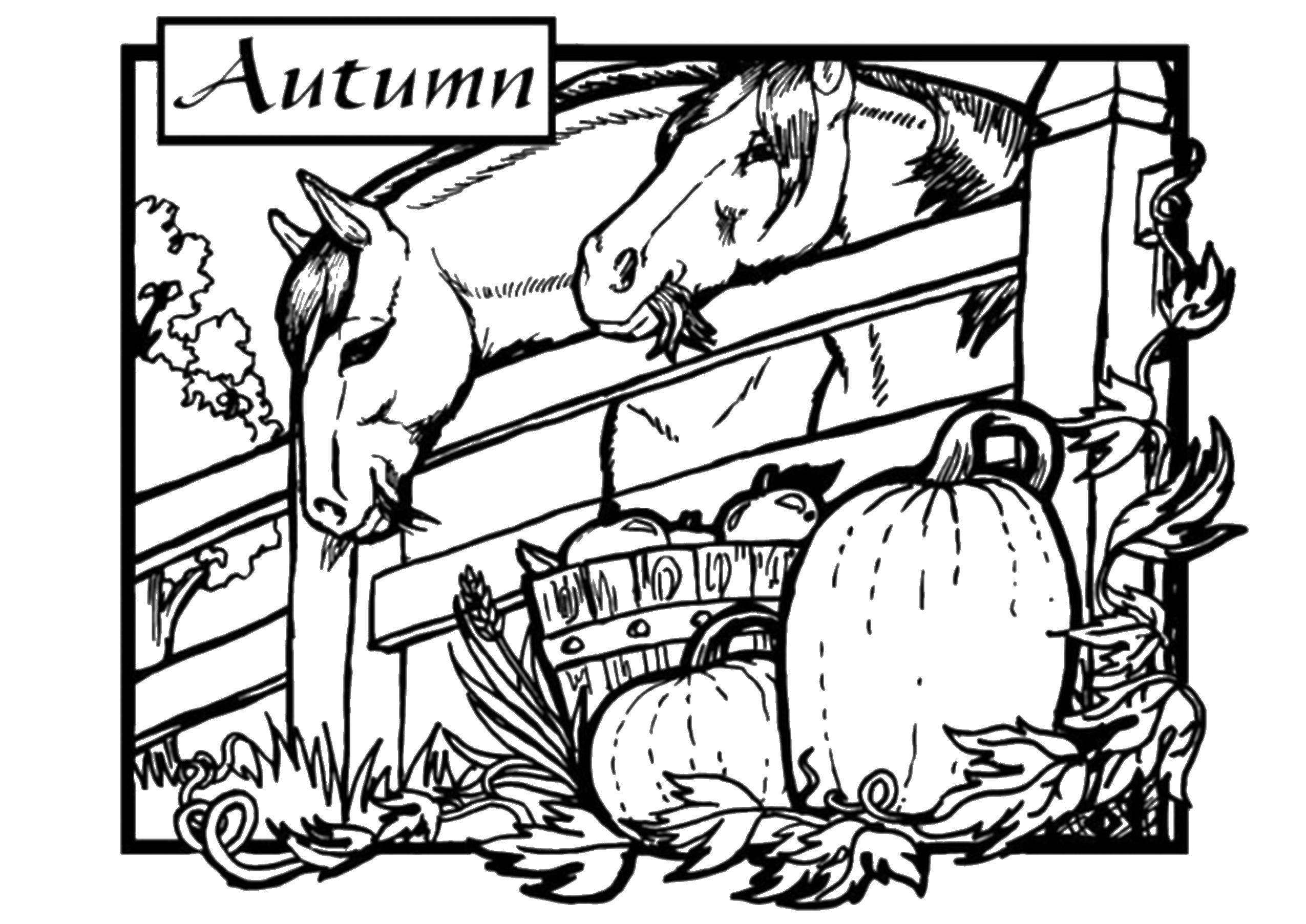 Название: Раскраска Кони на осенней ферме. Категория: Осень. Теги: Осень, листья.
