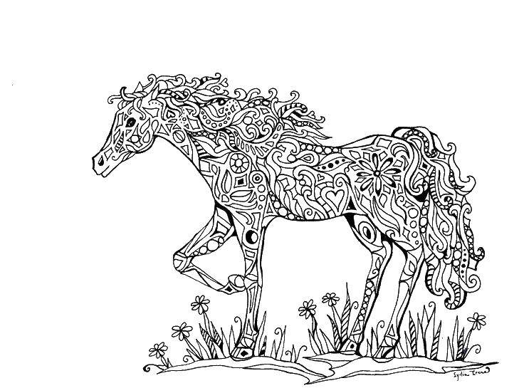 Coloring Horse patterns. Category patterns. Tags:  Patterns, animals.