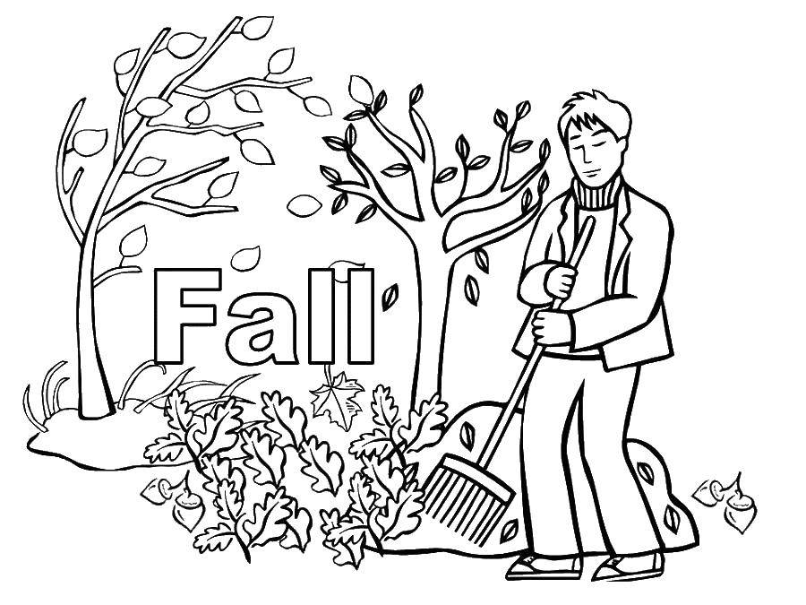 Название: Раскраска Мужчина убирает листву. Категория: Осенний листопад. Теги: осень, мужчина, листья, листопад.