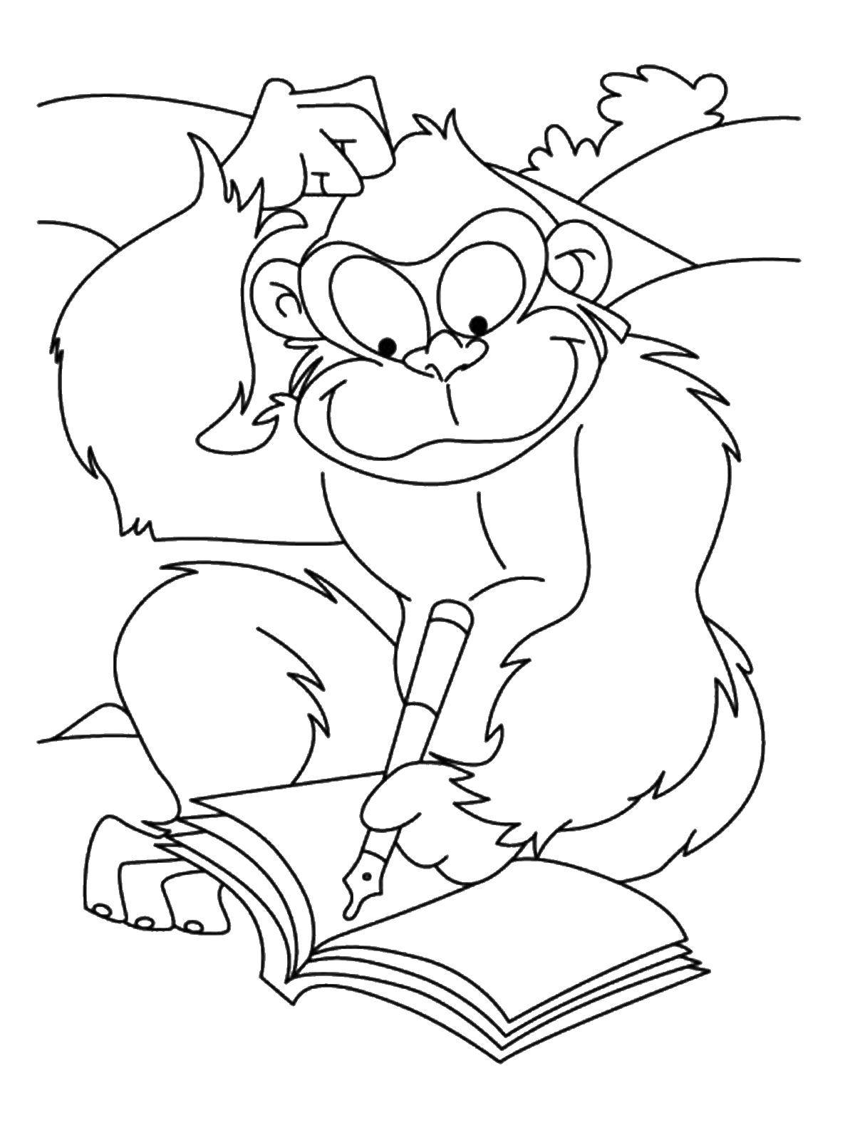 Coloring The monkey writes. Category school. Tags:  School, class, lesson, children.