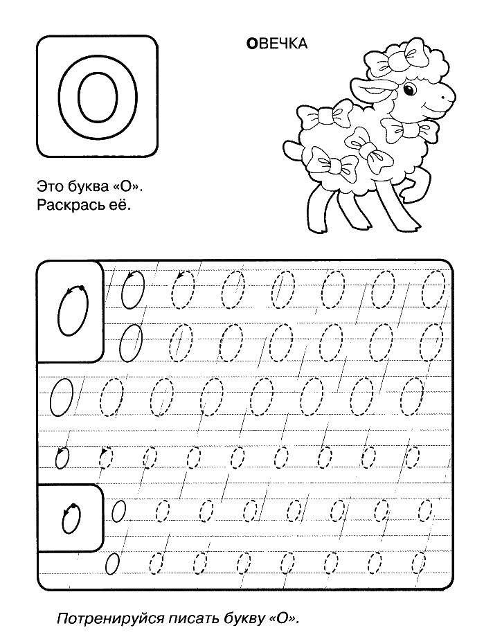 Coloring Sheep. Category tracing. Tags:  recipe, About.