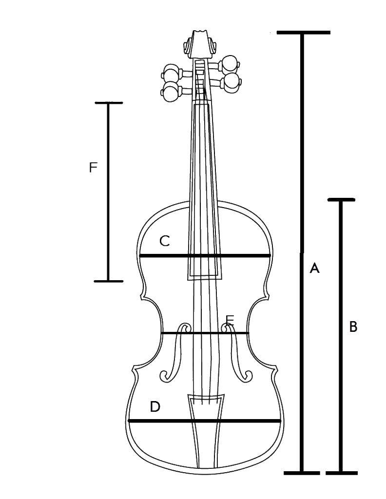 Название: Раскраска Параметры скрипки. Категория: Скрипка. Теги: музыкальные инструменты, скрипка.