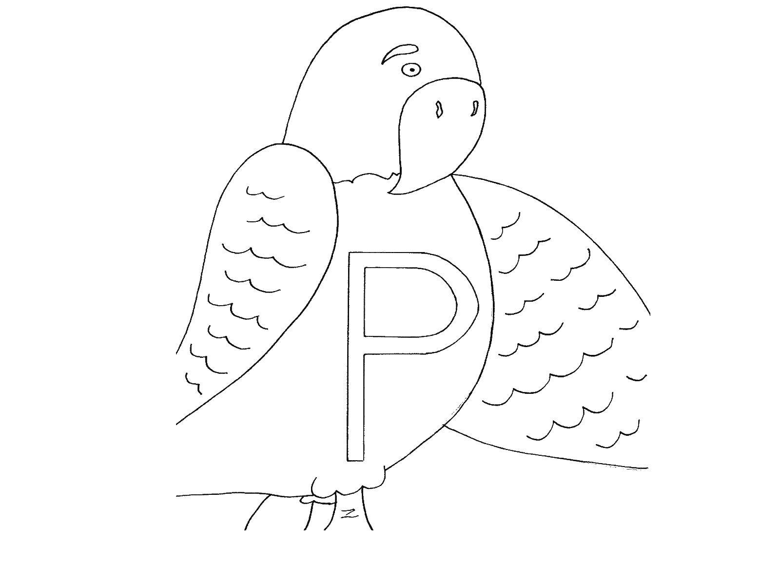 Coloring Parrot. Category birds. Tags:  parakeet, birds.
