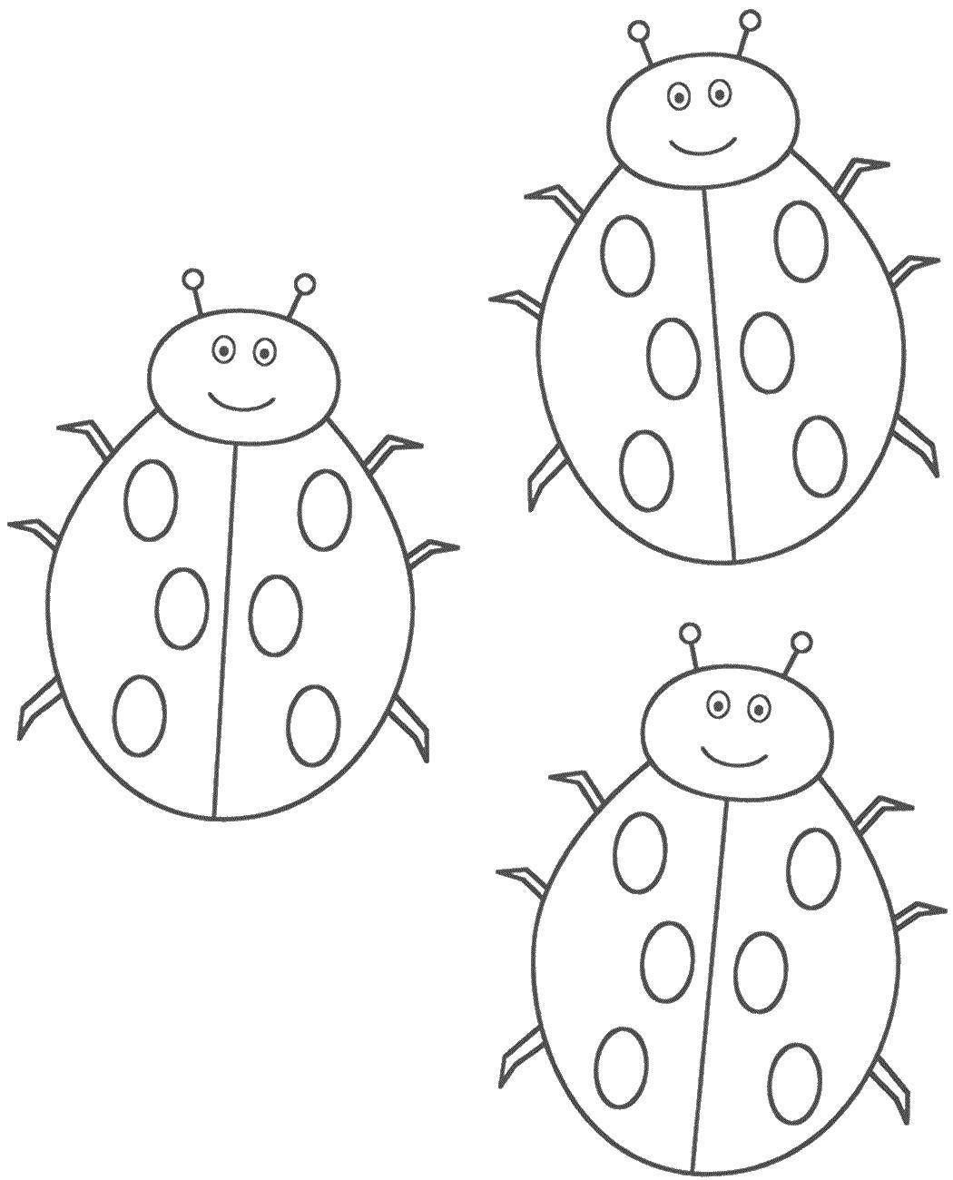 Coloring Three ladybugs. Category Ladybug. Tags:  insect, ladybug.
