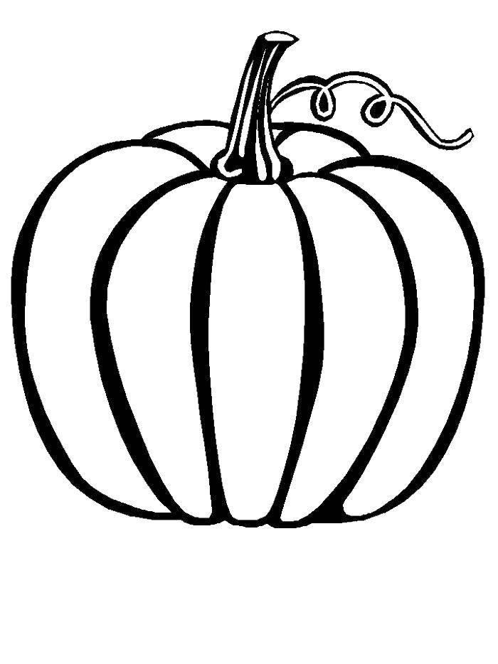 Coloring Pumpkin.. Category Autumn. Tags:  autumn, pumpkin, harvest.