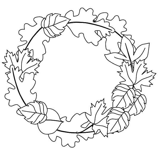 Coloring A wreath of leaves. Category Autumn leaves falling. Tags:  leaves, autumn, crown of leaves.