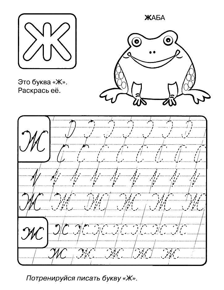 Coloring Toad. Category tracing. Tags:  the recipe, well.
