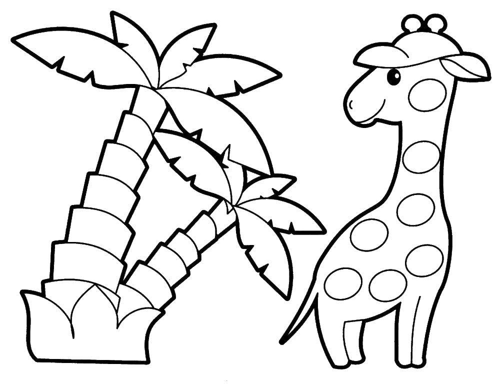 Название: Раскраска Жирафик и пальмы. Категория: Дикие животные. Теги: Животные, жираф.