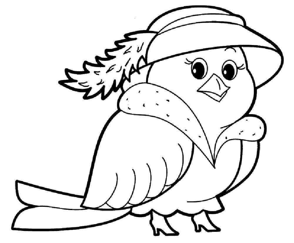 Розмальовки  Пташка в капелюсі. Завантажити розмальовку птиці, капелюх.  Роздрукувати ,птахи,