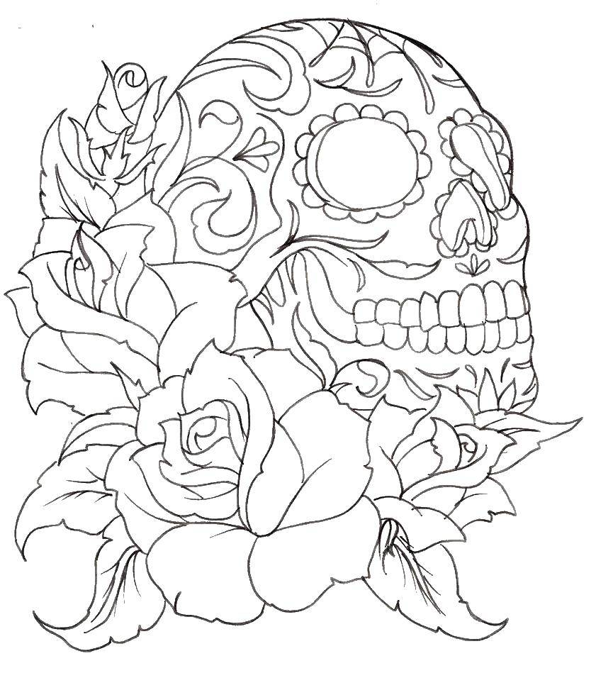 Розмальовки  Візерунковий череп. Завантажити розмальовку Череп, візерунки, квітка.  Роздрукувати ,Череп,