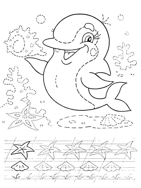 Coloring Dolphin. Category tracing. Tags:  Dolphin, tracing.