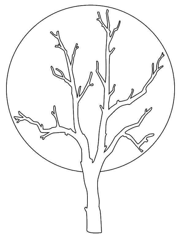 Coloring Tree and moon. Category tree. Tags:  trees, moon, nature.
