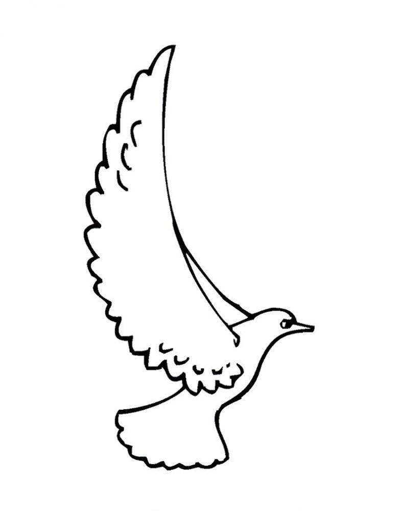 Coloring Dove with big wings. Category birds. Tags:  birds, pigeons, wings.