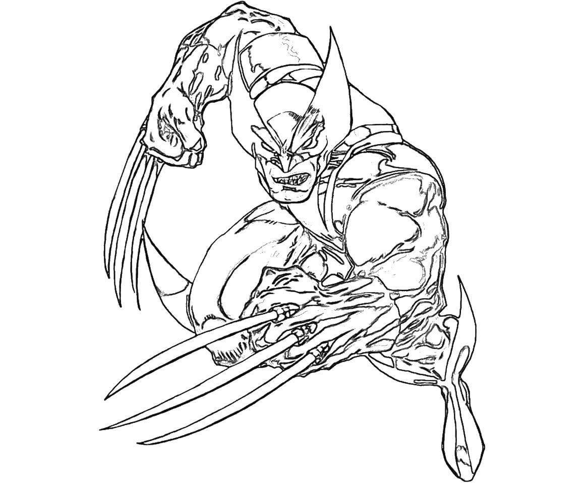 Coloring The terrible Wolverine. Category X-men. Tags:  Comics, x-Men.
