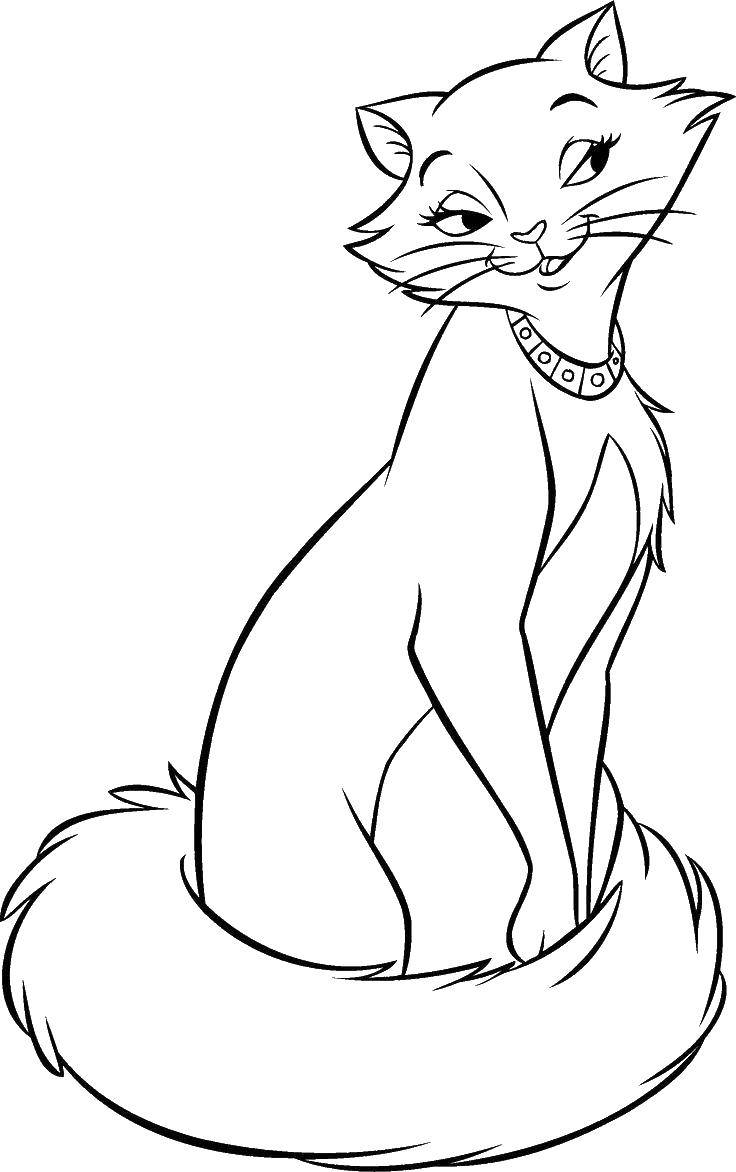 Coloring Cat aristocrat. Category Disney coloring pages. Tags:  Cats , the aristocats, Disney, cartoon.