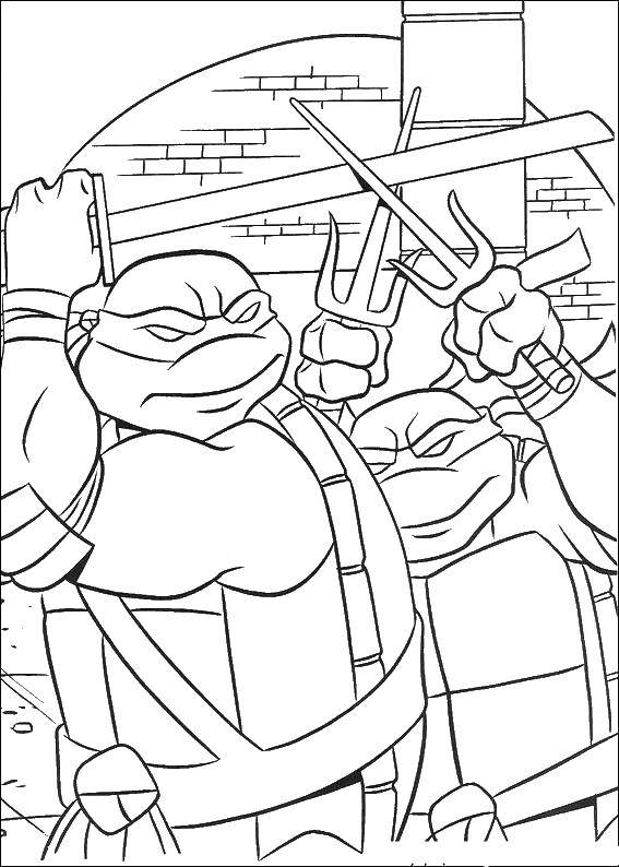 Coloring Leonardo and Raphael. Category ninja . Tags:  Comics, Teenage Mutant Ninja Turtles.