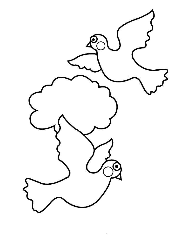 Coloring The dove. Category the dove of peace . Tags:  pigeons, birds.