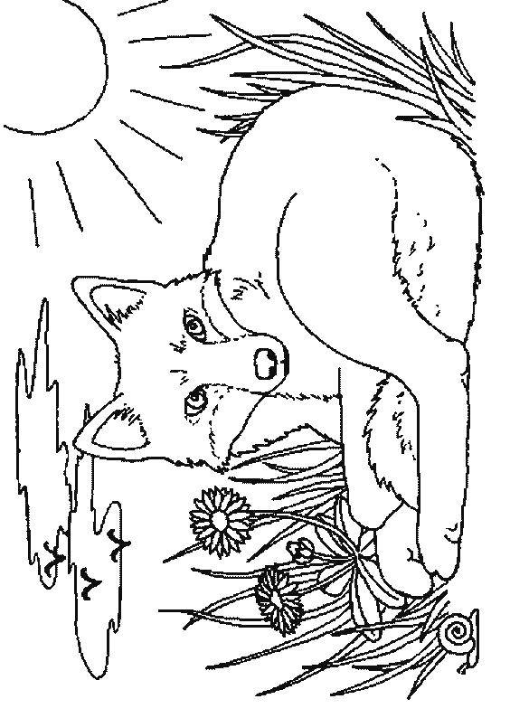 Coloring Fox in the flowers. Category Fox. Tags:  Animals, Fox.