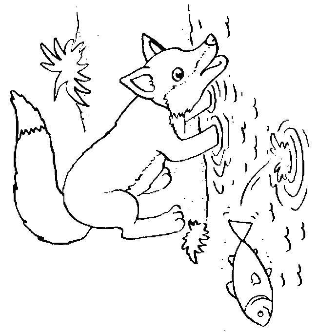 Название: Раскраска Лисичка плещется в воде. Категория: Лисица. Теги: Животные, лиса.