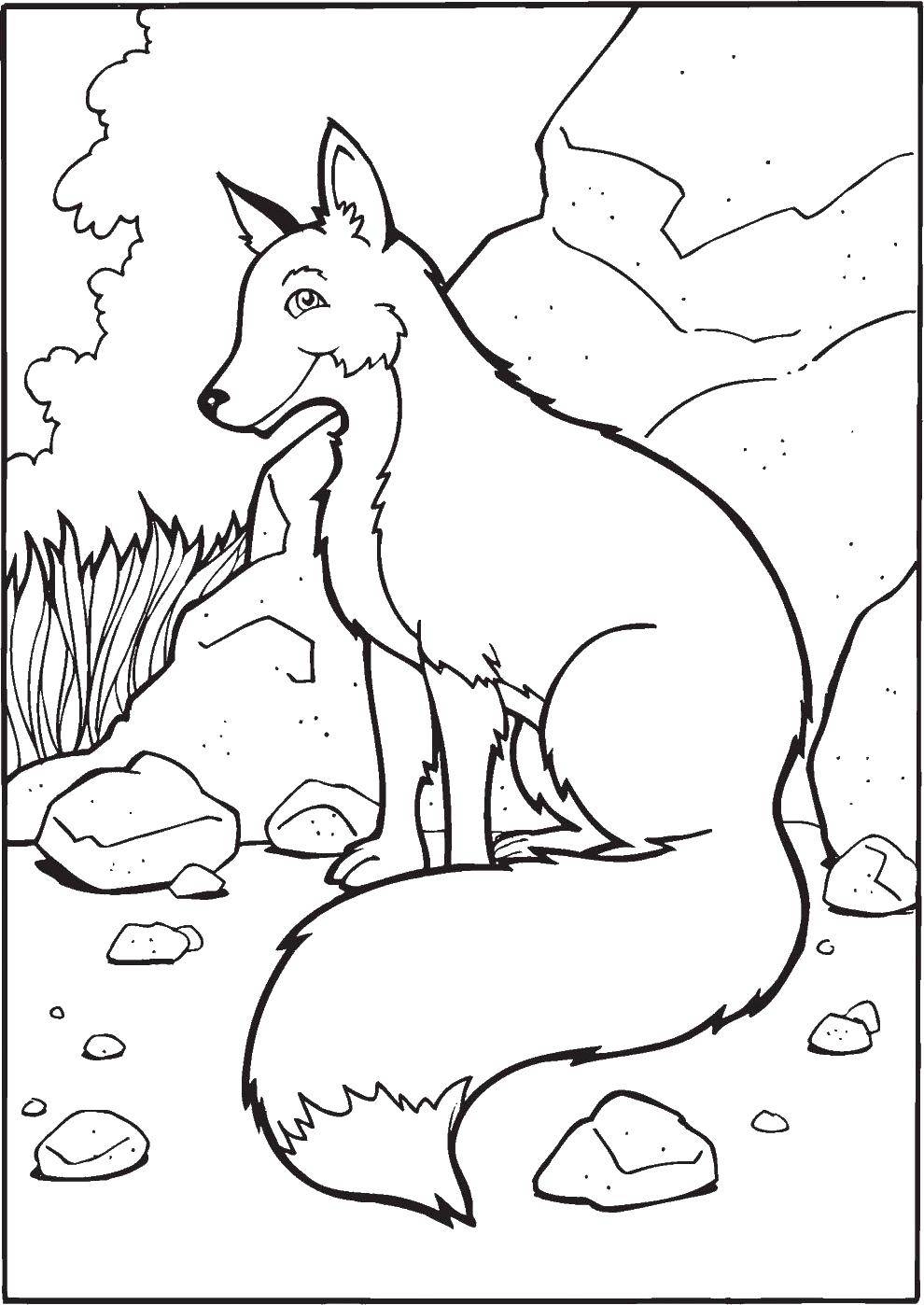 Coloring Cute Fox. Category Fox. Tags:  Animals, Fox.