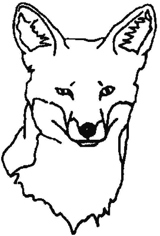 Coloring Face of the Fox. Category Fox. Tags:  Animals, Fox.