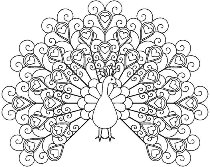 Название: Раскраска Перья павлина с сердечками. Категория: птицы. Теги: Птицы, павлин.