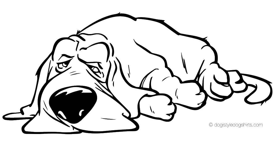 Coloring Doggie lies. Category dogs. Tags:  dogs, dogs, sleeping.