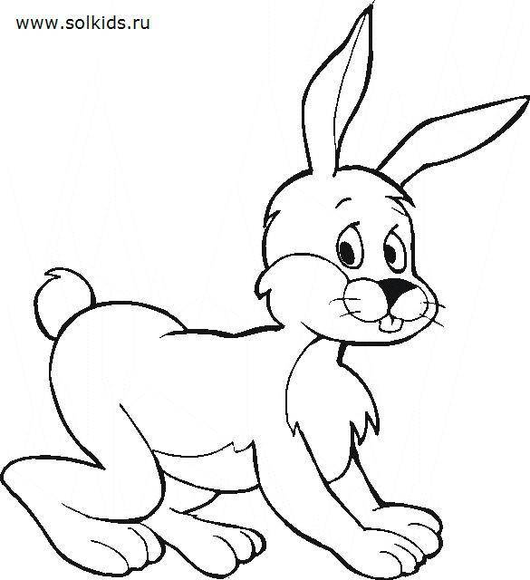 Название: Раскраска Рисунок зайчика. Категория: домашние животные. Теги: заяц.