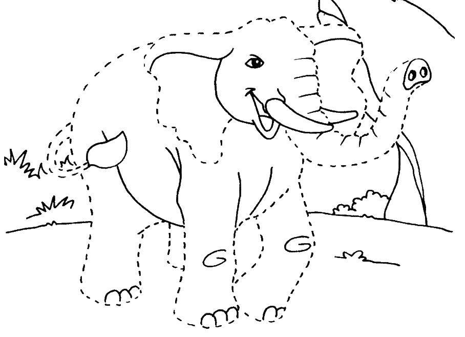 Coloring Elephant. Category Coloring pages. Tags:  lines.