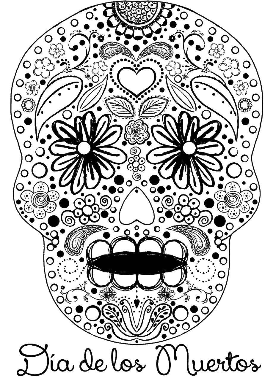 Coloring Funny crock in the patterns. Category Skull. Tags:  Skull, patterns.