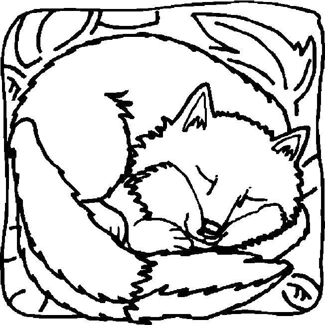 Coloring Curled up. Category Fox. Tags:  Animals, Fox.