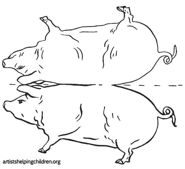 Coloring Stencil for cutting pigs. Category Stencils for cutting out. Tags:  stencils, templates, pig.