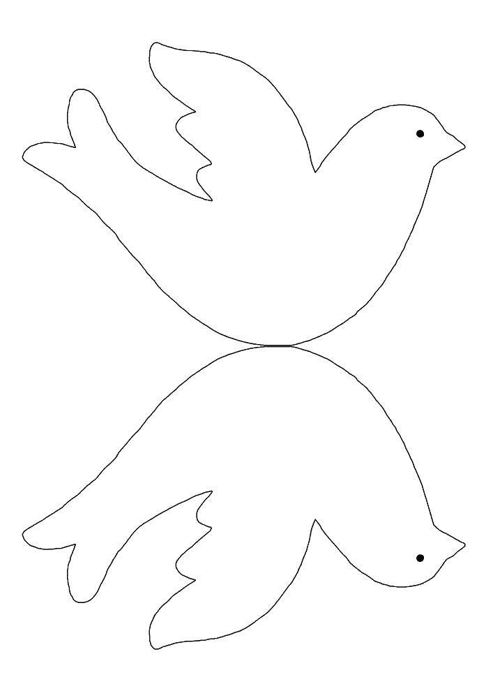 Coloring Stencil the dove. Category Stencils for cutting out. Tags:  stencils, outlines, swans.