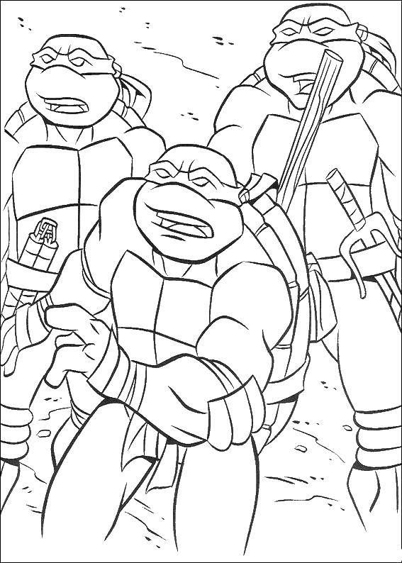 Coloring Surprised turtles. Category ninja . Tags:  Comics, Teenage Mutant Ninja Turtles.