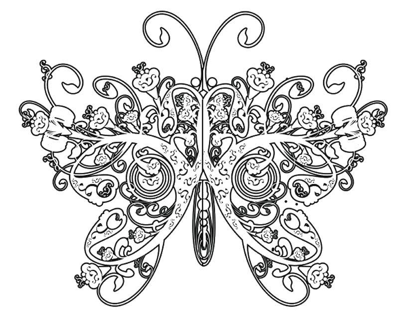Название: Раскраска Узорные крылья.. Категория: Сложный дизайн. Теги: Бабочка.