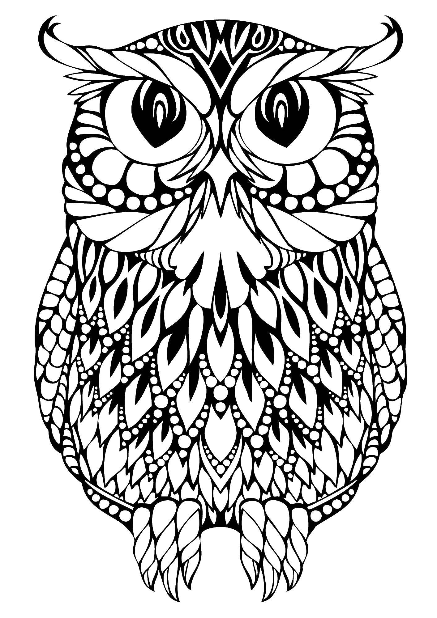 Coloring Patterned feathers owl. Category birds. Tags:  Birds, owl.