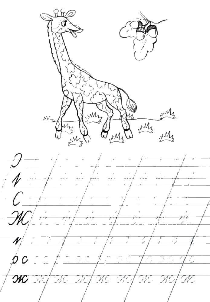 Coloring Giraffe. Category tracing. Tags:  giraffe, cursive;.