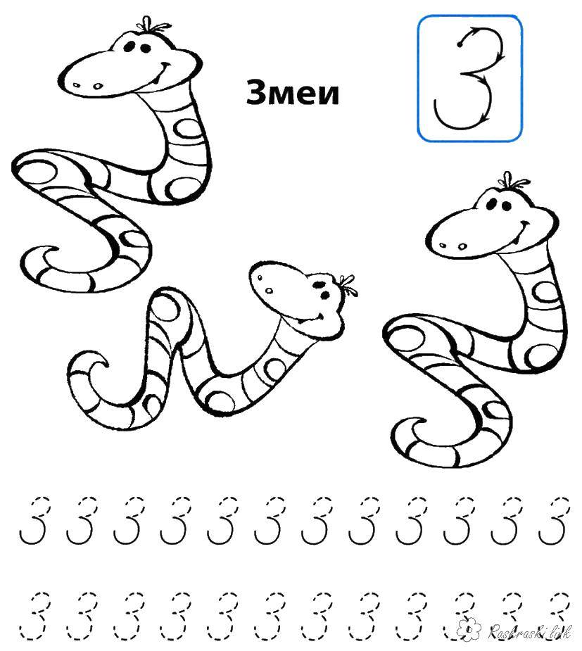 Coloring Snakes. Category tracing. Tags:  recipe, snake, letter Z.