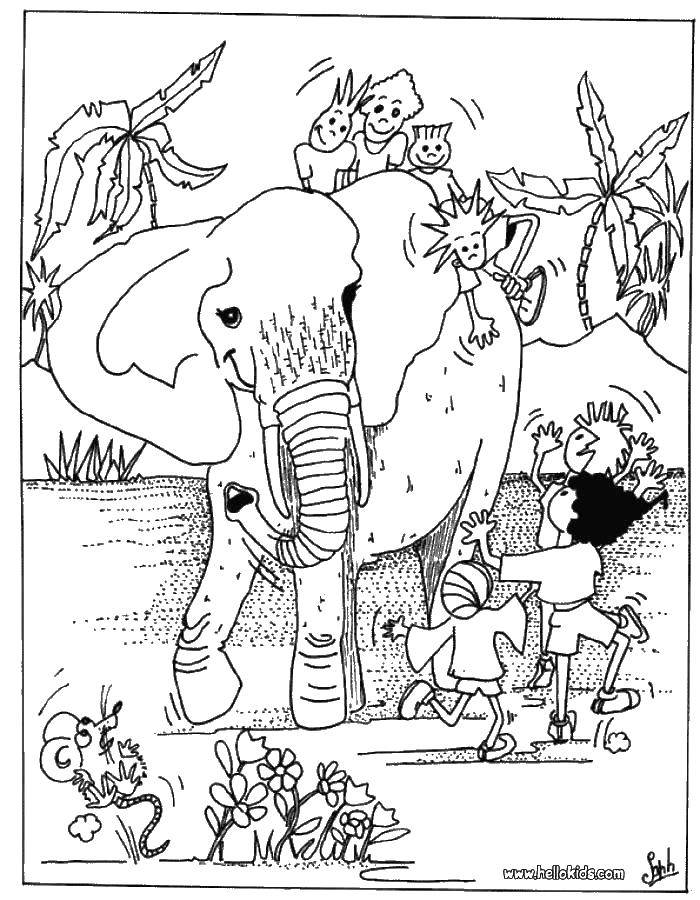 Розмальовки  Діти граю зі слоном. Завантажити розмальовку тварини, як слони, діти.  Роздрукувати ,розмальовки,