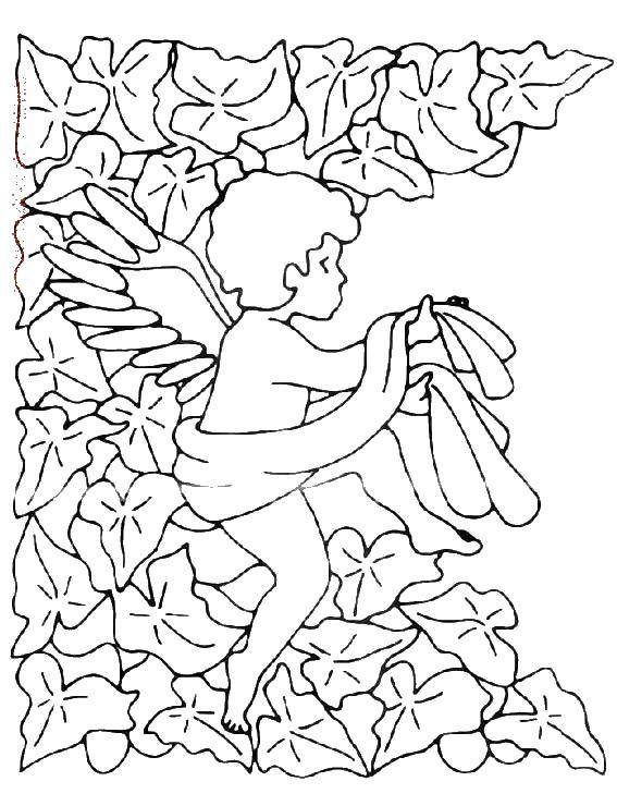 Coloring Angel in the foliage. Category angels. Tags:  angels, wings, foliage.