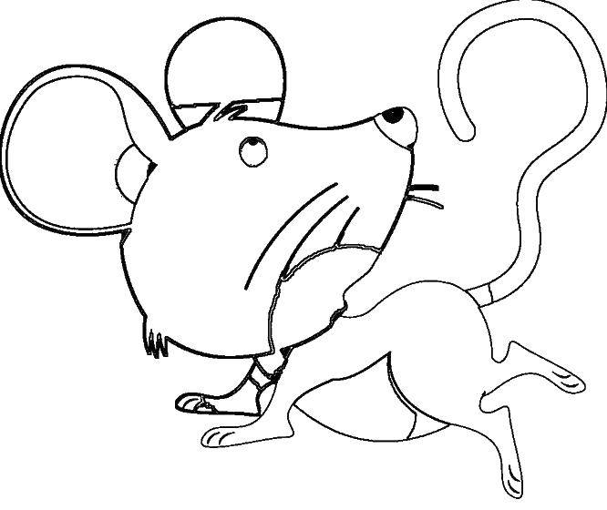 Название: Раскраска Испуганный мышонок. Категория: мышка. Теги: Животные, мышка.