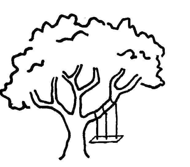 Название: Раскраска Качели на дереве. Категория: Летние развлечения. Теги: Качели.
