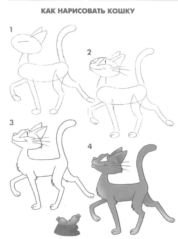 Название: Раскраска Как нарисовать кошку. Категория: раскраски. Теги: Животные, котёнок.
