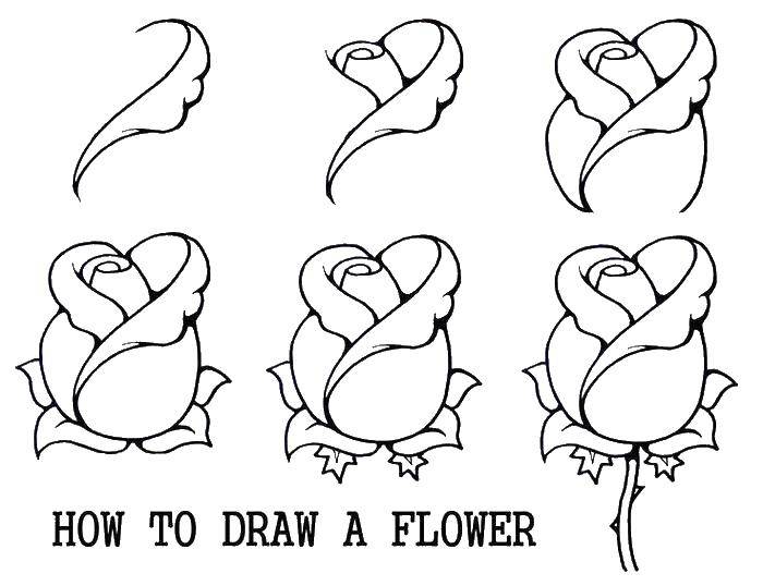 Название: Раскраска Как нарисовать цветок. Категория: раскраски. Теги: Цветы, розы.
