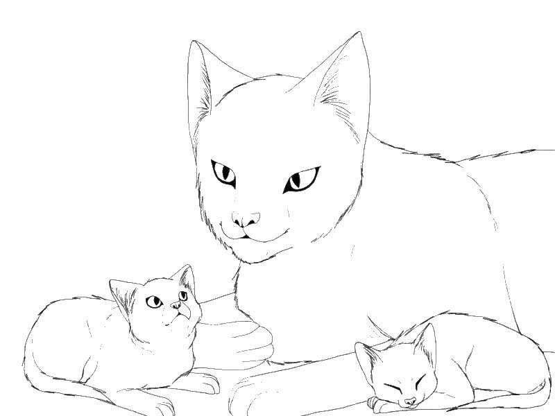 Coloring Cat with kittens. Category Animals. Tags:  animals, cats, cat, kittens.