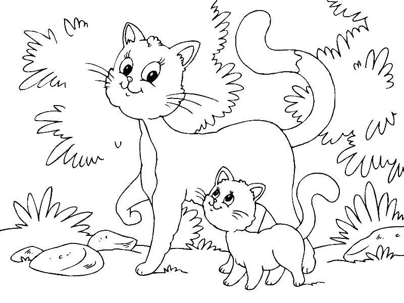 Coloring Cat with her kitten. Category Animals. Tags:  animals, cats, kittens, kitten.