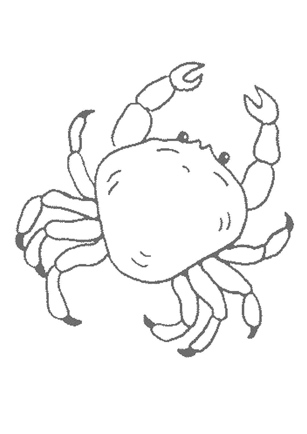 Coloring Crab.. Category Crab. Tags:  crabs, animals, sea animals.