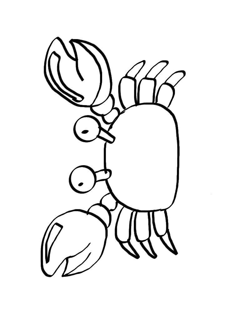Coloring Crab. Category Crab. Tags:  sea animals, sea animals, crabs.