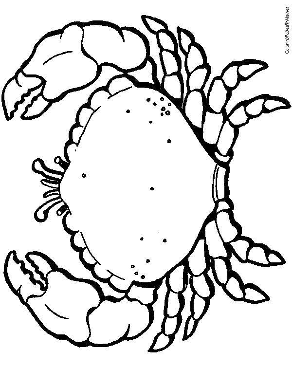 Coloring Large crab. Category crab. Tags:  marine animals, crabs.