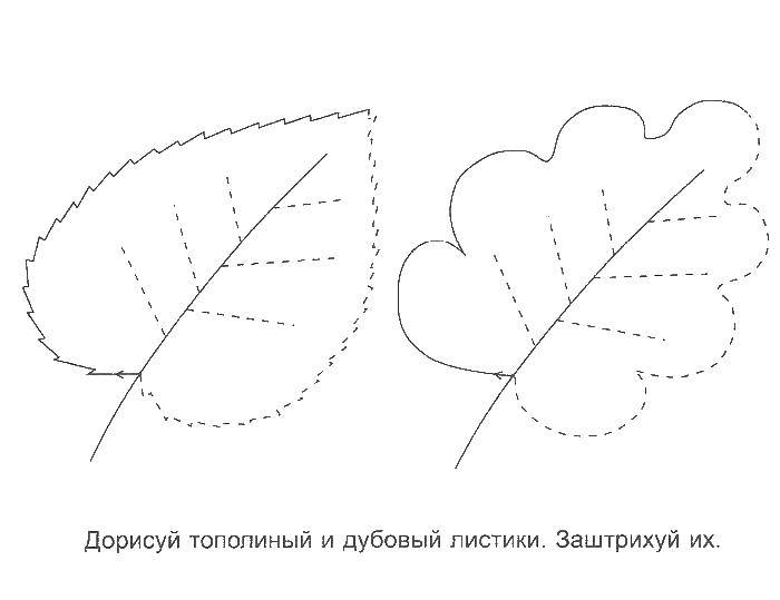 Coloring Leaves. Category Crosshatch for preschoolers. Tags:  leaves , shading.